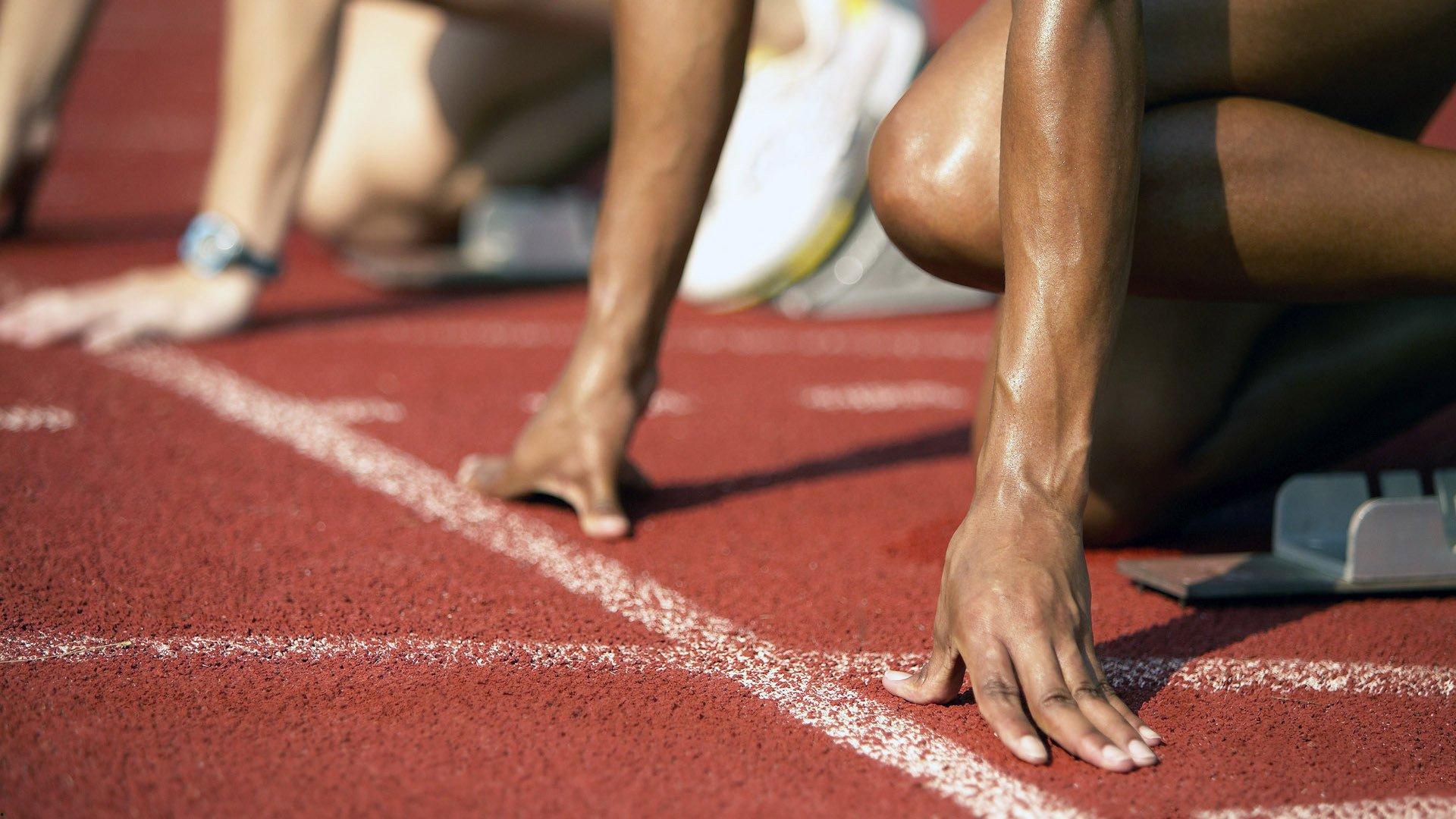 森贝儿系列11表情包风靡体育圈，11-11赛场内外掀起萌趣热潮